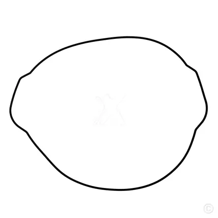 ProX Clutch Cover Gasket YZ450F '10-19 - Tiivisteet ja osat - 400-19-G2440 - 1