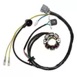 Electrosport Valopuola 6-Pole Kawasaki KXF250 (05-08) - 50W - Staattorit ja osat - 110-05-0740 - 1