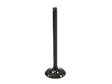 Psychic SS pakoventtiili CRF250R 04-07 - Venttiilit - 394-09502-1 - 3