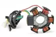 TNT Alakäämi, Ducati-malli, Minarelli AM6 / Derbi moottori EBE, EBS D50B - Staattorit ja osat - 303-0251 - 2