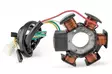 TNT Alakäämi, Ducati-malli, Minarelli AM6 / Derbi moottori EBE, EBS D50B - Staattorit ja osat - 303-0251 - 1