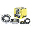 ProX Crankshaft Bearing & Seal Kit KX250 '02 - Runkolaakerit - 400-23-CBS43002 - 1