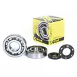 ProX Crankshaft Bearing & Seal Kit KX250 '87-01 - Runkolaakerit - 400-23-CBS43087 - 1