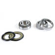 ProX Steering Bearing Kit CR500R '90-01 + XR650R '00-07 - Ohjauslaakerit - 400-24-110018 - 1