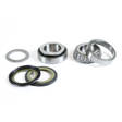ProX Steering Bearing Kit ATC200X '83-87 - Ohjauslaakerit - 400-24-110029 - 1