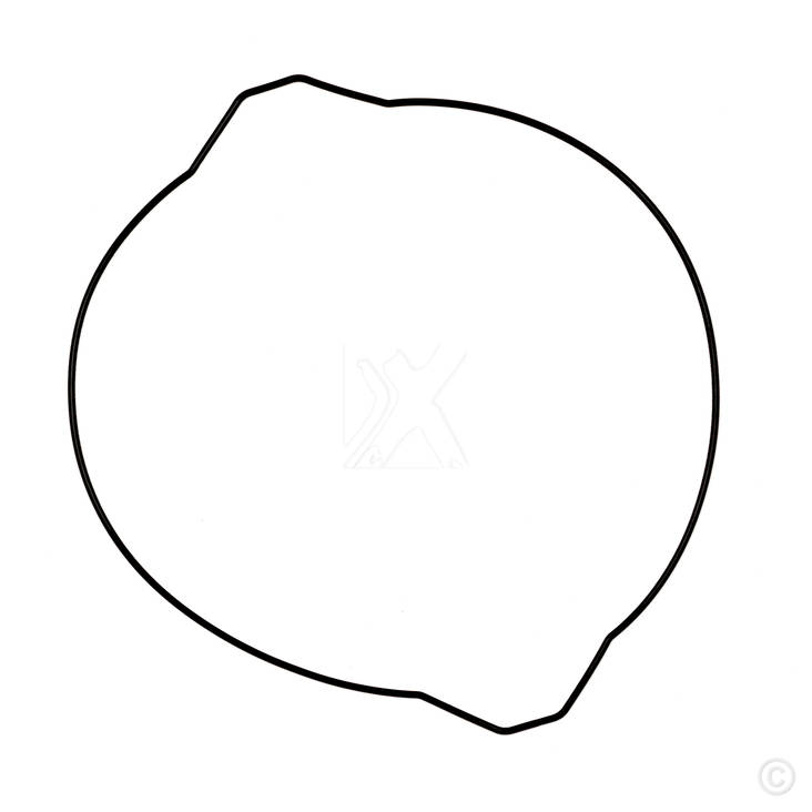 ProX Clutch Cover Gasket YZ250 '99-20 - Tiivisteet ja osat - 400-19-G2399 - 1
