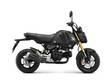 HONDA MSX125 Grom - Uudet - MSX125GB - 1
