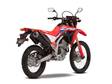 HONDA CRF300L - Uudet - CRF300L - 3