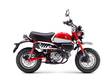 HONDA Monkey 125 - Uudet - MONKEY125R - 1