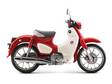 HONDA Super Cub 125 - Uudet - SC125R - 1