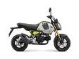 HONDA MSX125 Grom - Uudet - MSX125GS - 1