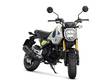HONDA MSX125 Grom - Uudet - MSX125GS - 2