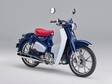 HONDA Super Cub 125 - Uudet - SC125BLU - 2